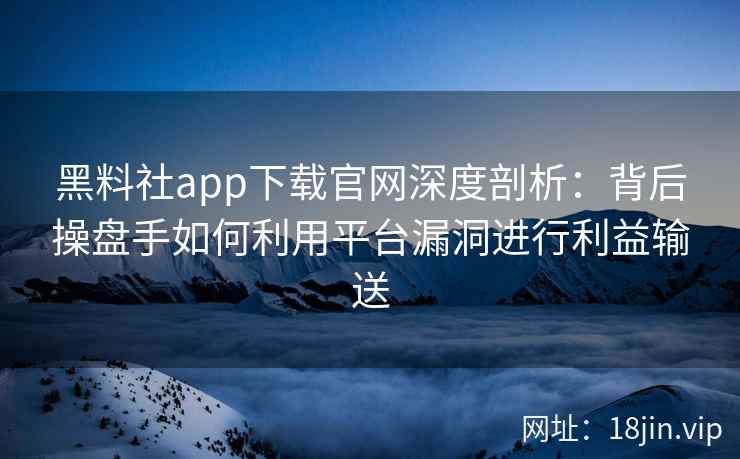 黑料社app下载官网深度剖析：背后操盘手如何利用平台漏洞进行利益输送